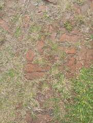 stone wall texture