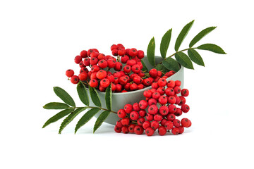 Vibrant red rowan berries isolated on white background with green leaves