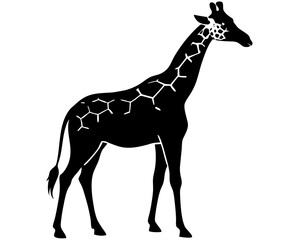 Giraffe silhouette on a white background