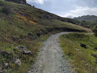 curving trail on a hillside