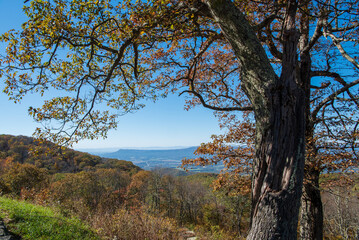 Skyline Drive Shenandoah National Park, Milepost 61.0, Bald Face Mountain Overlook