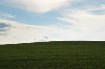 Fototapeta premium Green empty field with blue sky and whispy clouds