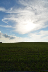 Green empty field with blue sky and whispy clouds