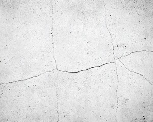 A close-up of a textured, cracked concrete surface, showcasing a light gray tone with subtle imperfections and a rugged appearance.