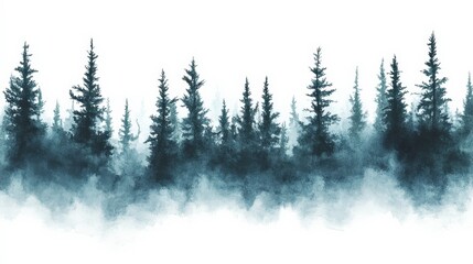 Misty Pine Forest in the Morning
