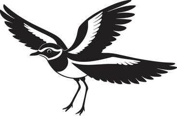 Obraz premium flying eagle isolated on white