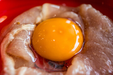 Fresh Egg Yolk and Chicken Meat for Cooking Preparation
