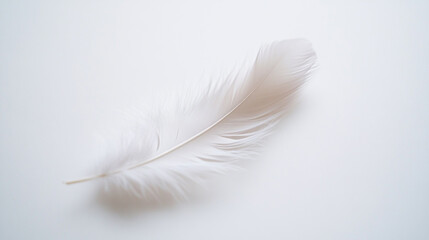 Obraz premium A delicate white feather rests softly on a smooth, light surface in a serene setting