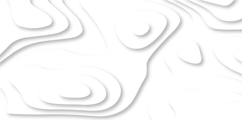 Fototapeta premium Vector minimal light element shadow landscape wave element curve graphic papercut design. Background with lines Modern black and white carve wave line abstract luxury papercut background.