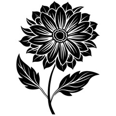 black and white flowers