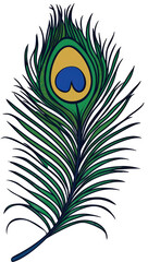 Obraz premium Peacock feather design