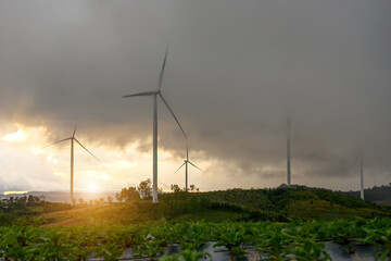 A wind farm that produces clean energy Wind turbine generators at dusk Surrounded by lush green...