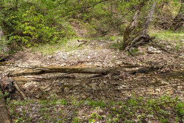 nature park , a walk along the riverbed with an overview of the stone bottom and banks