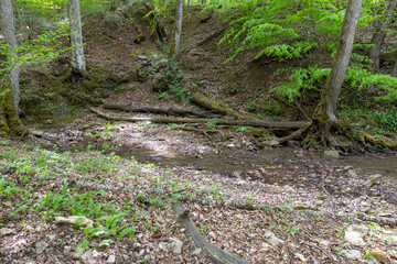 nature park , a walk along the riverbed with an overview of the stone bottom and banks