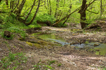 nature park , a walk along the riverbed with an overview of the stone bottom and banks