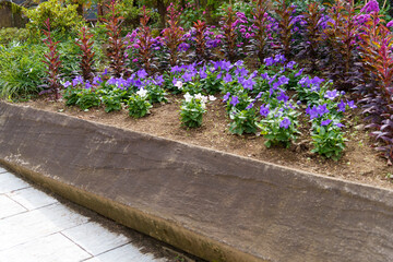 紫色の花（桔梗）が咲き乱れるガーデンの花壇