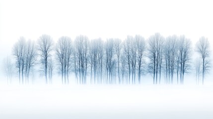 Enigmatic forest, majestic trees embraced by a serene blanket of fog mysterious
