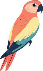 Colorful parrot on black background