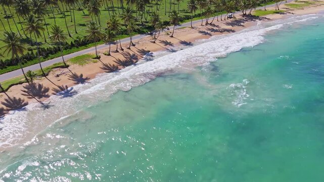Drone following scooters driving in middle of palm trees, along a paradise beach