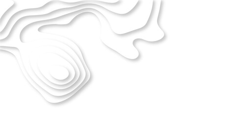 Vector minimal light element shadow landscape wave element curve graphic papercut design. Background with lines Modern black and white carve wave line abstract luxury papercut background.