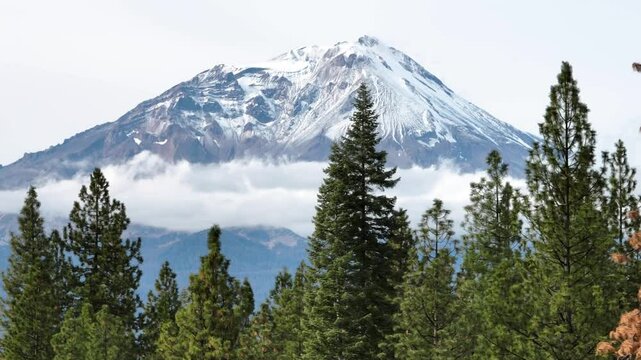 Snow Capped Mount Shasta in Northern California from the Sky
