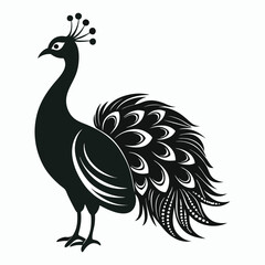 vector peacock
