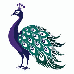 vector peacock