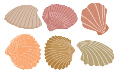 Cute scallop set cute cartoon style. Seashell collection on white background.