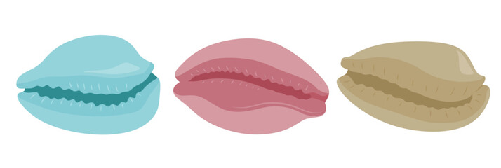 Cute cowrie set cute cartoon style. Seashell collection on white background.