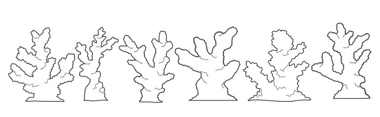 Hand drawn coral Outline black. doodle reef set with doodle style.
