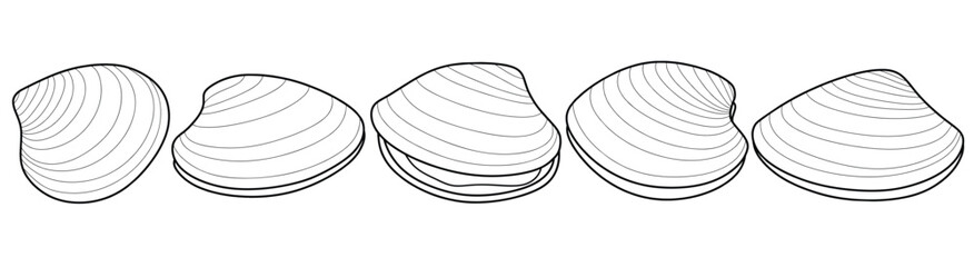 Hand drawn clam Outline black. doodle  sea shells set with doodle style. © dwi