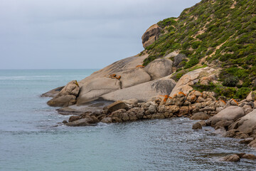 Bare granite rock and granite boulders tinted with orange lichen slopes down into the aquamarine...