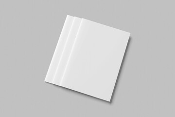 Brochure Blank