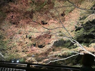 伊香保温泉河鹿橋の紅葉