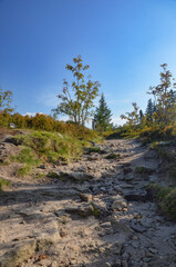 Multi-coloured panorama in the Beskid Mountains on the way to Barania Góra