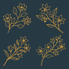 set of one line drawing modern minimalist tropical monstera eucalyptus banana exotic palm leaves branches and flowers silhouette on white background Botanical vector trendy greenery illustratrations