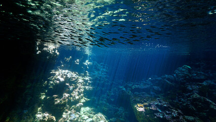 Underwater photo of a dreamlike and etheral environment. From cave scuba dive in rays of sunlight in Thailand. © Johan