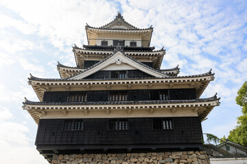 Fototapeta premium 中津城