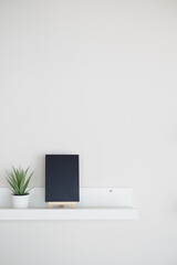 Discover the beauty of minimalist shelf decor featuring a stylish plant alongside a chalkboard