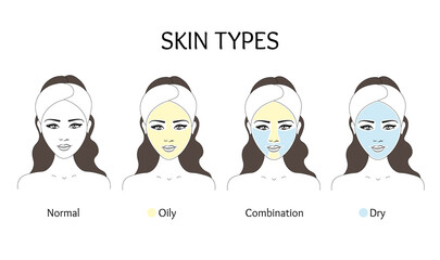 Oily Dry Combination Skin Types difference