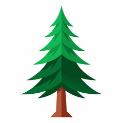 christmas tree isolated on white