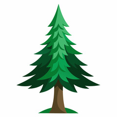 christmas tree isolated on white