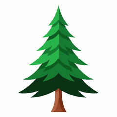 Fototapeta premium christmas tree isolated on white