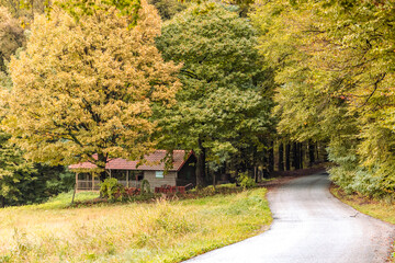 autumn in the village, road, forest 