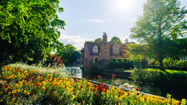 Sun shining on colorful flowers along the river stour in canterbury, england