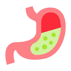 Stomach Flat Icon Design