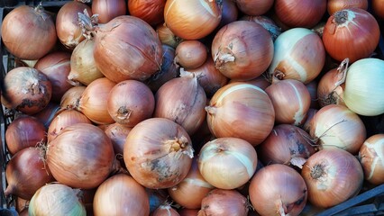 Brown Onions in a Crate