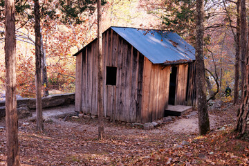 Old shed in the woods, Klepzig Mill site, Shannon County, MO