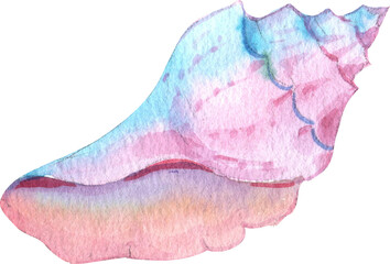 Pink-blue Conch Seashell, Watercolor Hand-drawn Illustration