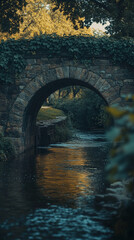 stone bridge over a tranquil stream in a lush forest